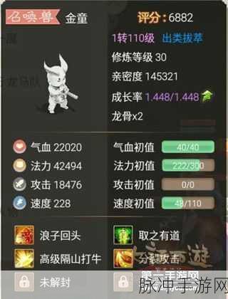 大话西游手游冷门召唤兽逆袭，揭秘神级召唤兽重塑荣光的策略