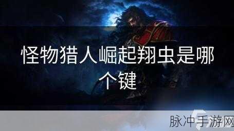 怪物猎人崛起，大锤按键变革与翔虫攻击秘籍