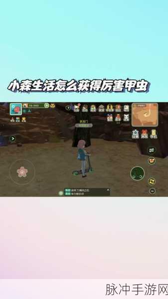 小森生活手游攻略，甲虫升级与属性提升深度解析