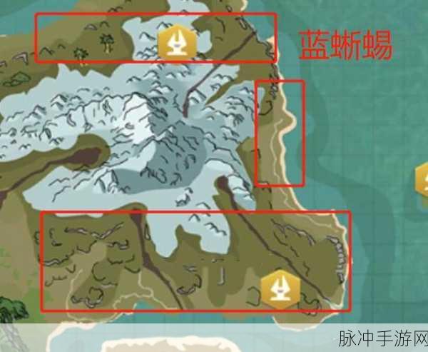 创造与魔法，蓝蜥蜴抓捕秘籍大公开