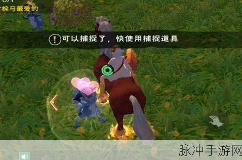 创造与魔法，蓝蜥蜴抓捕秘籍大公开