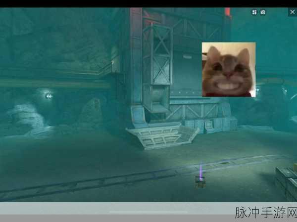 地铁逃生迷雾荒岛无伤刷Boss全攻略，手游公司的专业指南