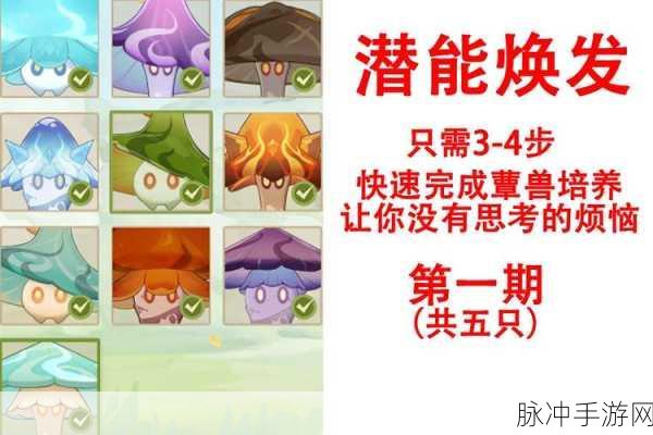 原神智巧灵蕈大竞逐活动，策略与技巧的完美结合深度解析