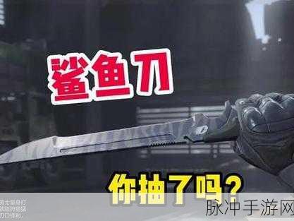 暗区突围鲨鱼刀获取秘籍大公开