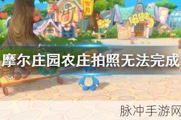 摩尔庄园手游攻略，解决前往农庄拍照任务完成不了的问题