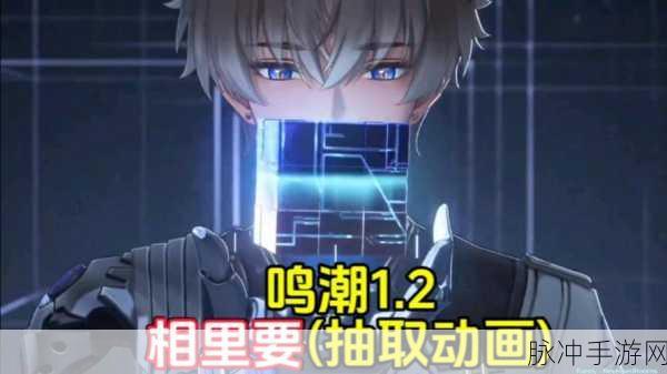 鸣潮椿和相里抽取价值全解析