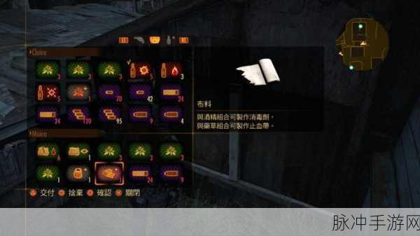 NS 生化危机启示录 2 玻璃眼获取之谜
