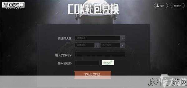 暗区突围，2022 永久有效兑换码大揭秘及攻略指南