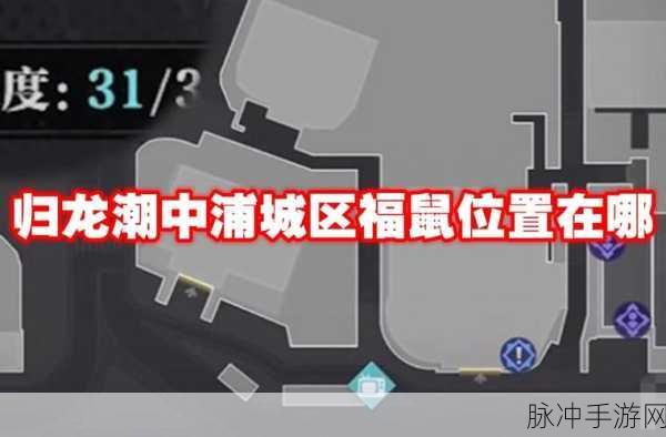 归龙潮浦城区福鼠藏匿点大曝光
