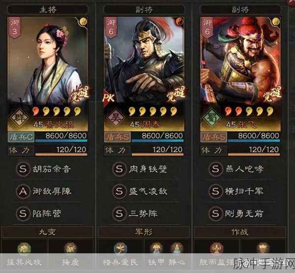 三国志战略版张飞最强阵容深度解析