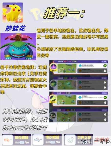 宝可梦大集结大师局高效上分秘籍