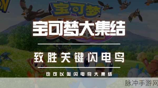 宝可梦大集结大师局高效上分秘籍