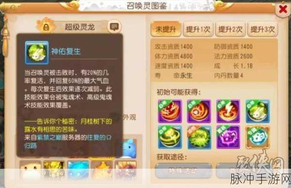梦幻西游手游超级灵龙技能全解析，法系辅助新宠的崛起