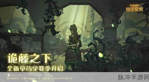 哈利波特魔法觉醒，探寻神秘哈利的踪迹