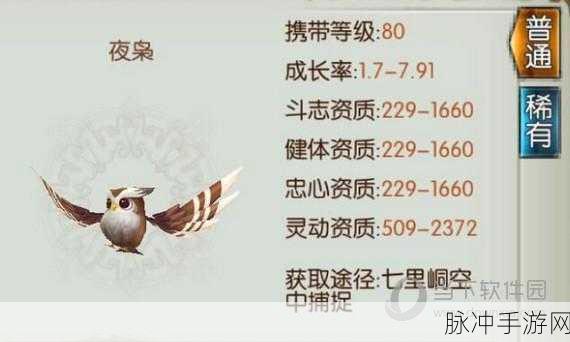 诛仙手游稀有夜枭捕捉全攻略，揭秘最佳捕捉位置