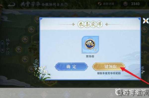 王者荣耀芳华币全攻略，解锁游戏新乐趣的钥匙