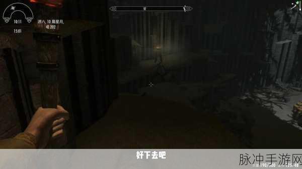 上古卷轴5自然的赐福任务，一场关于生态平衡的探索之旅