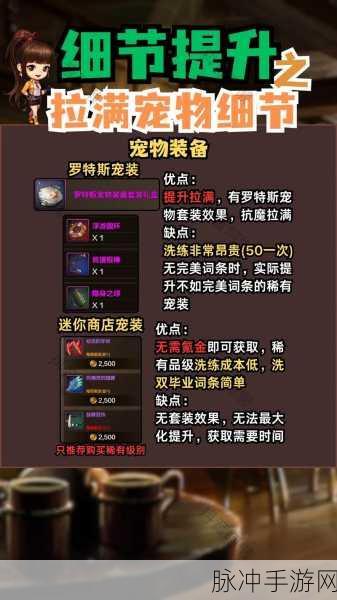 DNF手游稀有宠物获取攻略与宠物抽奖玩法详解