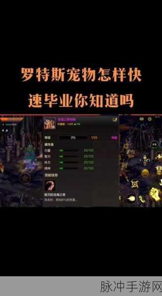 DNF手游稀有宠物获取攻略与宠物抽奖玩法详解