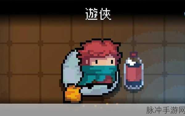 元气骑士游侠深度玩法攻略，掌握技巧，驰骋战场