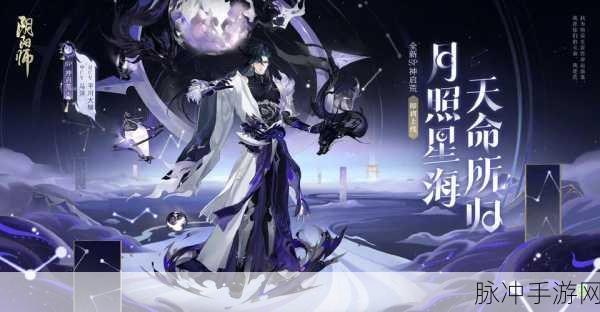 阴阳师荒御魂搭配推荐与深度测评全解析
