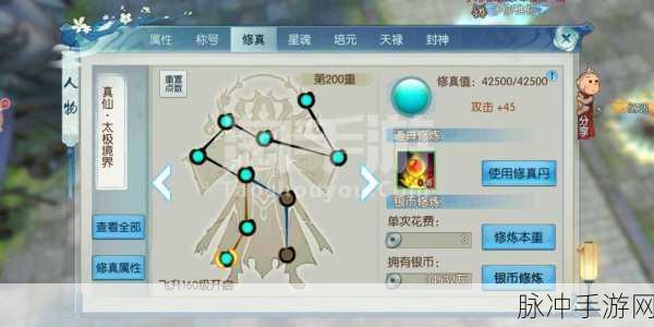 诛仙手游道法提升全攻略，助你飞速成长