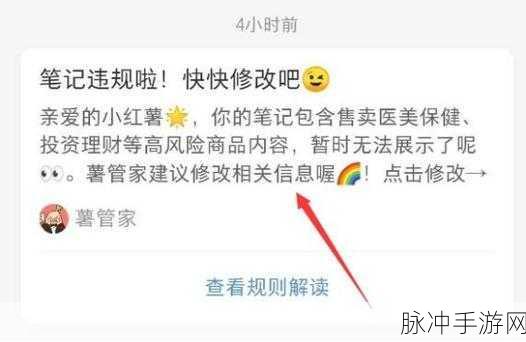 探究小红书无法开通专业号的缘由及手游攻略秘籍