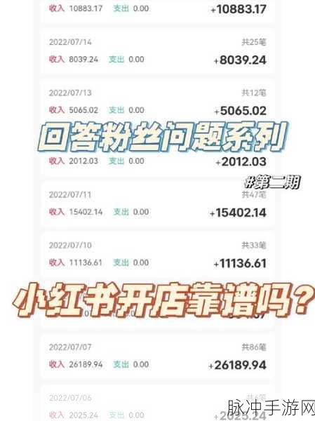 探究小红书无法开通专业号的缘由及手游攻略秘籍