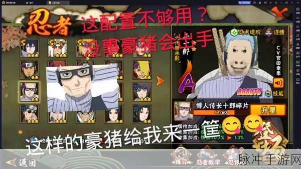 火影忍者4女忍者耐力测试，解锁极限挑战的勇气与毅力秘籍