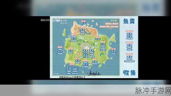 心动小镇海鱼获取全指南，轻松捕获的神奇法门