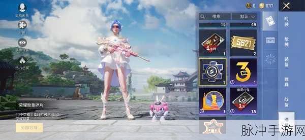 和平精英巡查员衣服获取全攻略，成为游戏守护者的荣耀之路