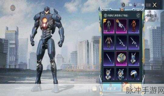 和平精英巡查员衣服获取全攻略，成为游戏守护者的荣耀之路