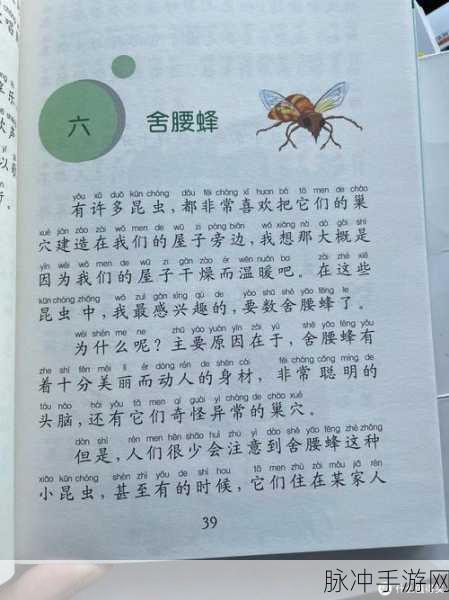 小森生活稀有昆虫的神秘藏身之处大揭秘