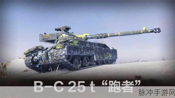 坦克世界闪击战深度攻略，解锁传奇涂装，提升战斗风采