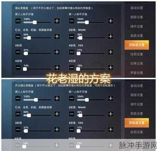 和平精英入队特效设置全面解析与修改指南