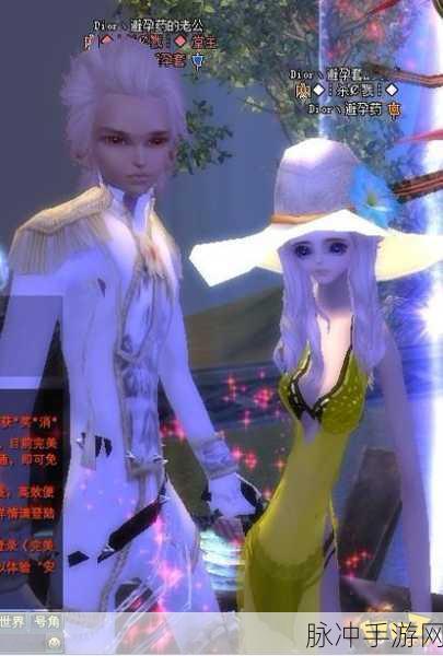 完美世界国际版衣服攻略大揭秘
