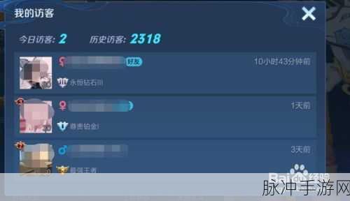王者荣耀隐身功能详解，设置方法与实战应用