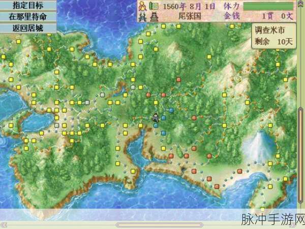 太阁立志传5DX补丁使用全攻略，解锁策略战棋新体验