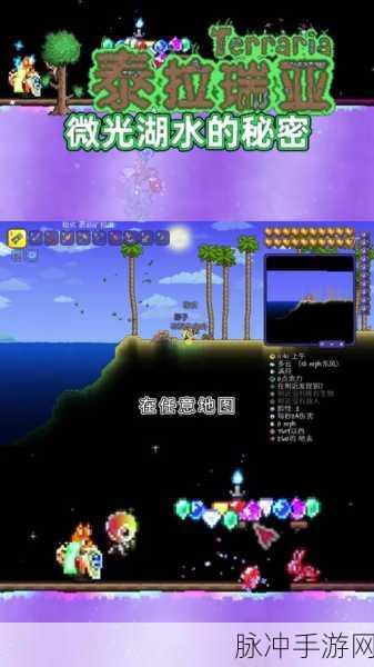 泰拉瑞亚探险指南，神秘微光湖的转化方法与奇妙步骤全解析