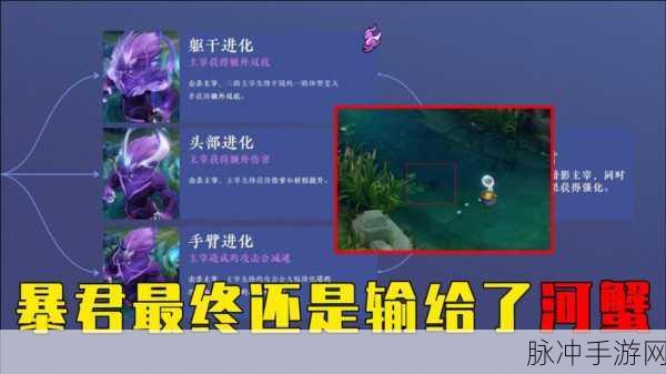 王者荣耀 S22 赛季更新时间全揭秘