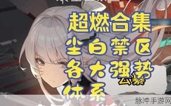 尘白禁区春节惊喜情报大揭秘