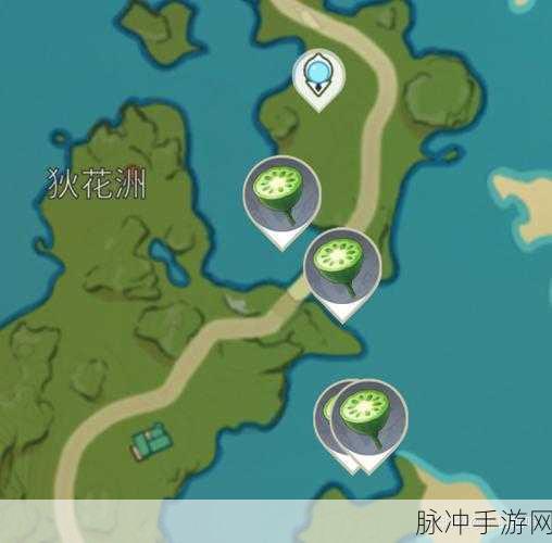 原神莲蓬采集全攻略，位置与获取方法深度分享