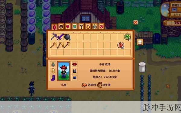 星露谷物语联机攻略，是否需要开启加速器深度解析
