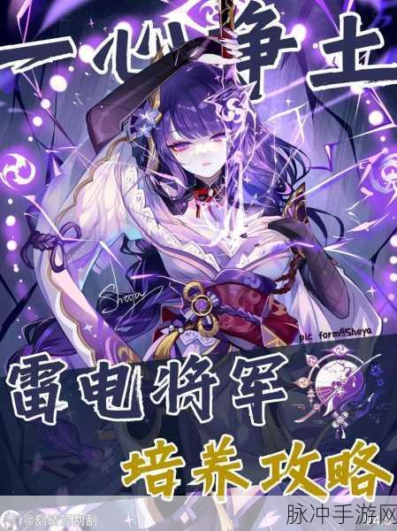 原神雷电将军独特精通玩法全攻略