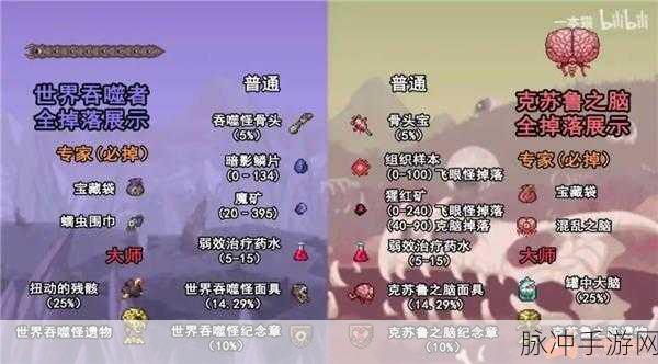 泰拉瑞亚怪物掉落物品大全，详尽攻略指南