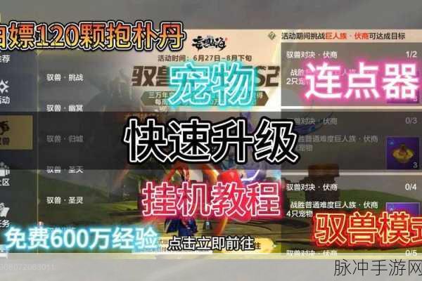 妄想山海宠物资质的深度剖析与数值考量