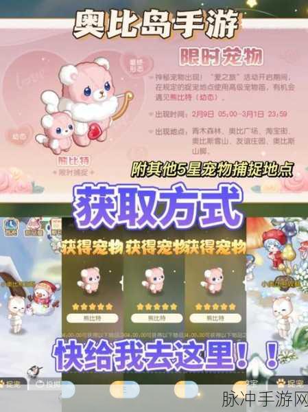 奥比岛手游四星宠物获取全攻略，解锁你的宠物收集之旅