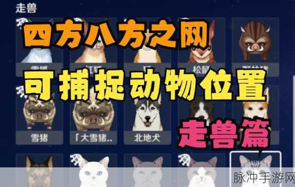 原神手游攻略，解锁四方八方之网，轻松捕捉小动物