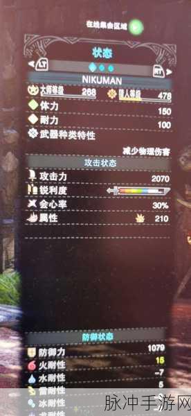 怪物猎人冰原大锤热门流派配装推荐深度解析