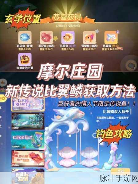 摩尔庄园手游斑点鲨捕捞全攻略